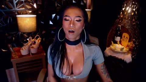 wildara online show from January 17, 10:33 am