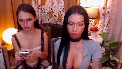 wildara online show from February 3, 2:03 am