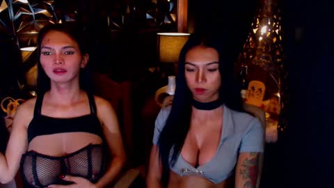 wildara online show from February 7, 1:22 pm