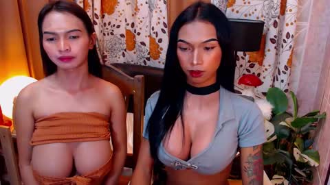 wildara online show from February 8, 2:26 am