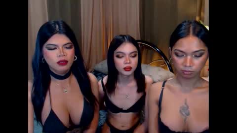 wildara online show from October 22, 10:59 am