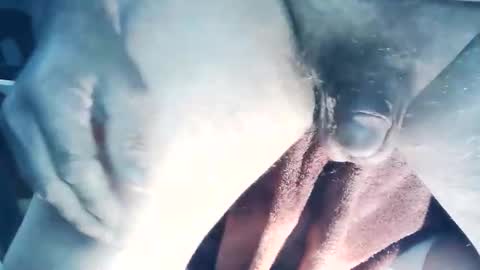 wildman6 online show from March 22, 6:55 pm