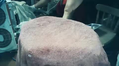 wildman6 online show from March 27, 7:46 pm