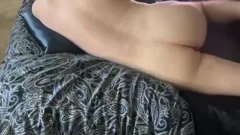 wildtravis online show from February 14, 4:48 pm