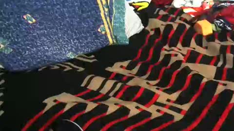 Willamyth online show from February 19, 8:12 am