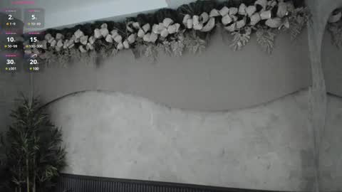 Ms Willow online show from December 29, 12:01 pm