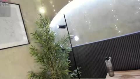 Ms Willow online show from November 18, 1:15 pm