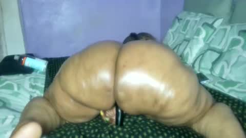 wilmaassylum online show from February 26, 6:34 am