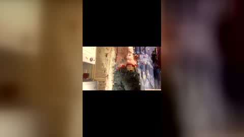 Will online show from November 25, 7:52 am