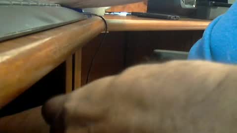 Snapshot of wineman88886 chatting on June 20, 7:16 pm Wineman88886 online show from June 20, 7:16 pm
