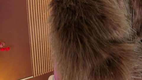 Wini Fer online show from April 10, 1:27 pm