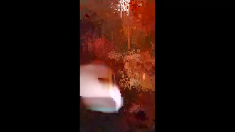 Snapshot of woalse32 chatting on November 5, 6:35 am Topic the Rapper online show from November 5, 6:35 am