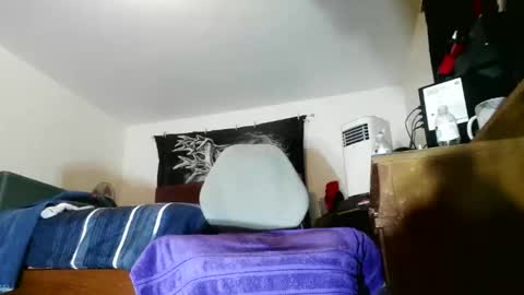 wolfman79 online show from January 12, 12:10 pm