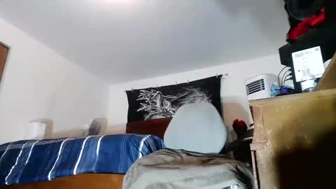 wolfman79 online show from February 5, 11:26 am