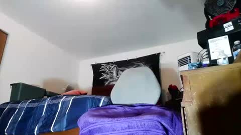 wolfman79 online show from February 7, 11:47 am