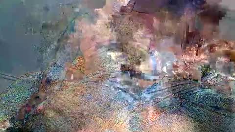 wolf boy online show from February 2, 3:49 am