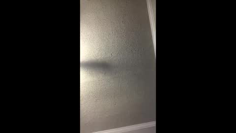 Woodpipe69 online show from December 23, 3:01 pm