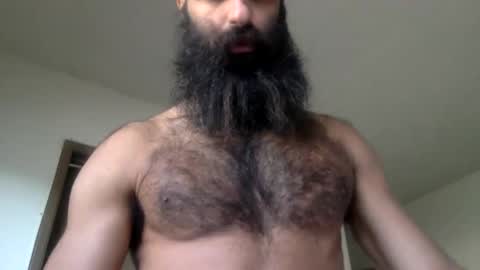 woof_wolf37 online show from April 15, 3:52 pm