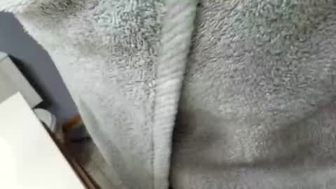 workingman6969 online show from February 26, 9:37 pm