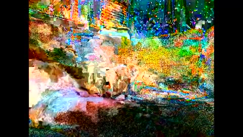 Wowokthankyou online show from September 19, 7:10 am