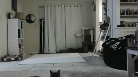 Crystal Lake online show from December 26, 9:22 am