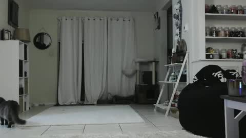 Crystal Lake online show from January 3, 5:28 am