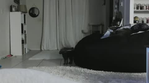 Crystal Lake online show from January 5, 5:20 am