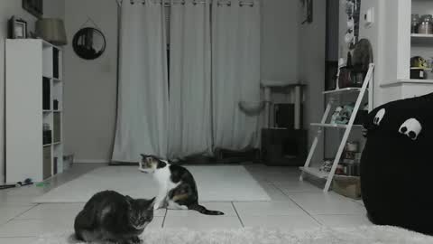 Crystal Lake online show from January 12, 4:42 am