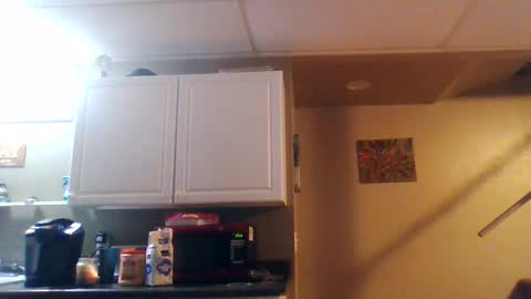 Snapshot of wundrsword33 chatting on January 10, 11:33 am BONER DONOR online show from January 10, 11:33 am