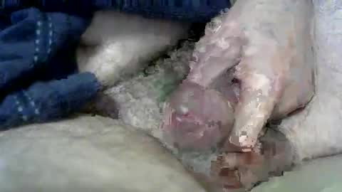 Charles online show from March 11, 6:53 am