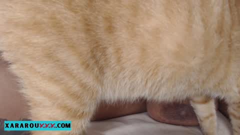       S A R A      100K followers online show from January 13, 11:27 pm