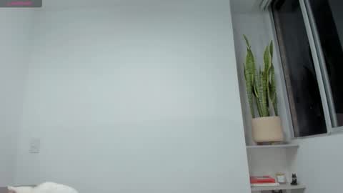 Xavier online show from November 23, 12:54 am