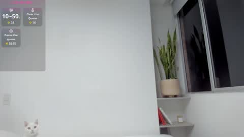 Xavier online show from March 19, 10:08 am