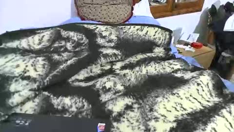 xaxi3 online show from January 10, 11:31 pm