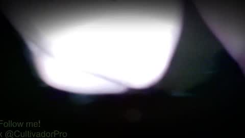 Snapshot of xbalam chatting on July 28, 3:21 pm Mr Balax online show from July 28, 3:21 pm