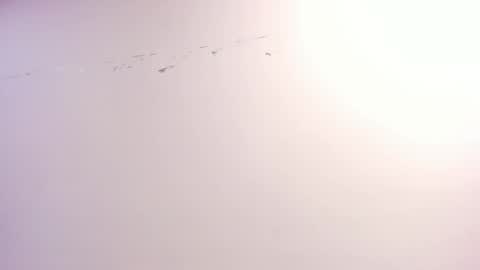 Xime  online show from October 22, 3:07 am