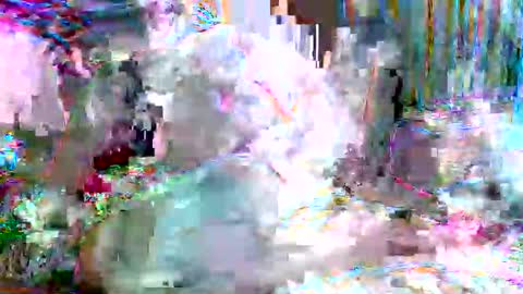 xixo6969 online show from February 20, 5:15 am