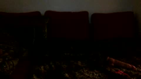 3 online show from February 16, 6:43 am