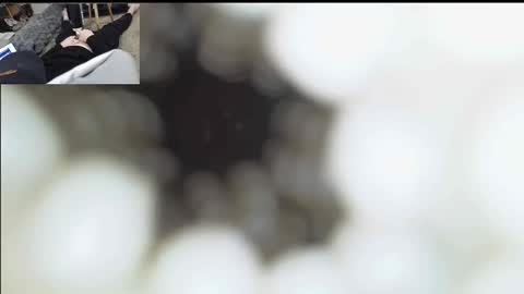 xoxowtf online show from January 11, 6:57 pm