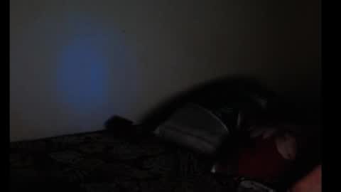 merayel online show from September 13, 5:29 am