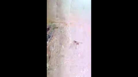 xxjessiebugxx online show from May 13, 3:26 am