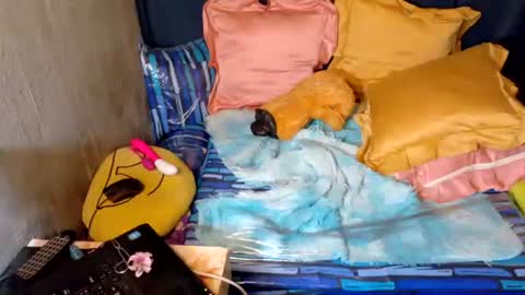 xxloveheart online show from September 30, 6:29 am