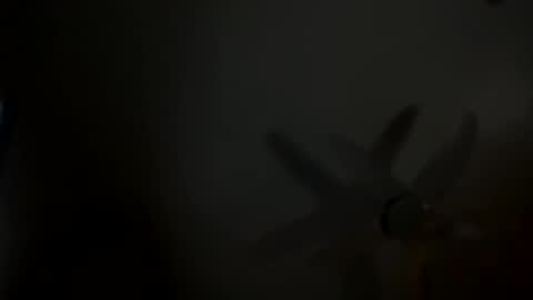 x online show from February 15, 2:55 pm