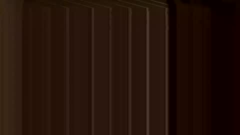 Sean online show from January 16, 1:37 am