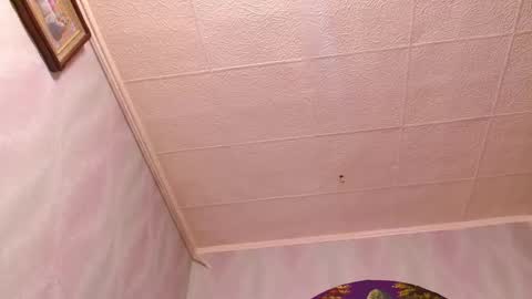 isa and gonzo online show from February 2, 9:40 am