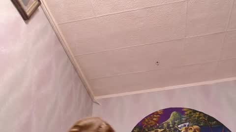 isa and gonzo online show from March 7, 12:01 pm