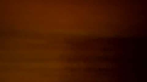 yacht3oy online show from December 3, 9:00 am