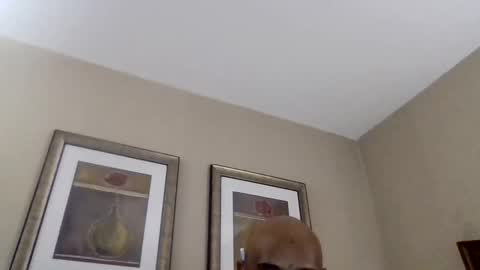 YallFav0rit3couple online show from April 8, 4:45 am