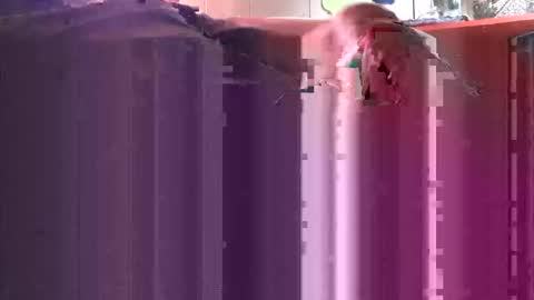 yangolox3 online show from October 4, 5:00 pm