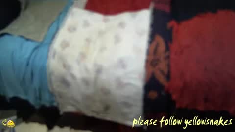 Snapshot of yellowsnakes chatting on November 7, 2:28 pm . y e l l o w s n a k e s . online show from November 7, 2:28 pm